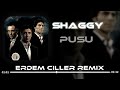 Erdem Çiller - Shaggy | TikTok Remix | PUSU #kvpresmi #KurtlarVadisi #ValleyOfTheWolves #madmad