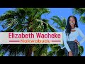 Nakwabudu By Elizabeth Wacheke