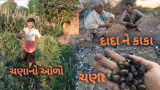 ચણાનો ઓળો😋 || ચણાના શોખીન ||desi Sana no olo