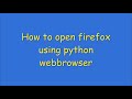 How to open firefox using python webbrowser