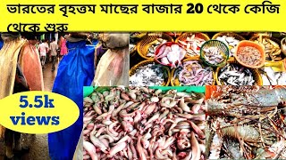 Diamond Harbour Fish Market Near Riverside | ইলিশের স্বর্গ রাজ্য |