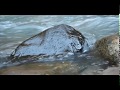 Jonathan Keevil - Babyfin Acoustic Cover (Bellflower Sountrack)