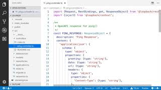 LESSON 1 - Getting started with Loopback