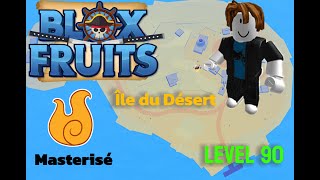 je MASTERISE le fruit DES FLAMMES et je DETRUIT l'ile du DESERT ! #3