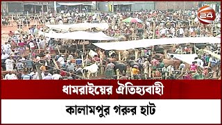 ধামরাইয়ের ঐতিহ্যবাহী কালামপুর গরুর হাট | Dhamrai Hat Bazar | Channel 24