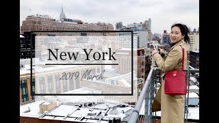 三月你好，纽约游记 NYC vlog | 大都会和高线公园 Travel with me #4 | 了不起的苏小姐