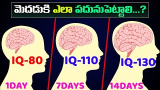 How to improve your brain power ? | మెదడుకి ఎలా పదునుపెట్టాలి? | How to Increase IQ Levels?