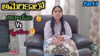Part 1 : America lo Earnings Vs Expenses | Telugu Vlogs from USA | American Indian lifestyle | kids