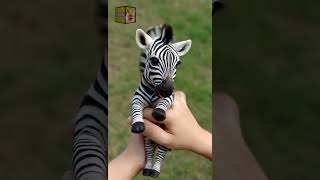 World Smallest Zebra #shorts