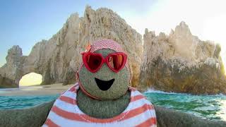 Mexico V Log: Los Cabos