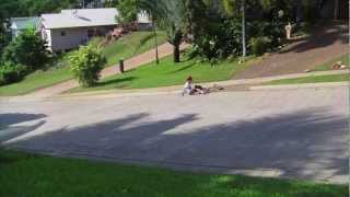 :: Longboarding - Flight of the longboards ::