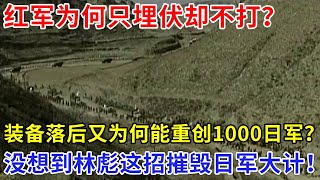 红军为何只埋伏却不打？装备落后又为何能重创1000日军？万万没想林彪这招太神了，直接摧毁日军大计！【追忆】