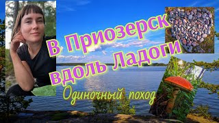 Одиночная прогулка из Кузнечного в Приозерск по Ладожской тропе