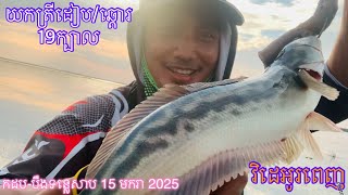 Fun Fishing for Snakehead Fish