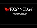 Fxsynergy Multi entry