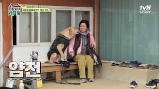 혜정에게만 말 듣는 강아지 칸이! 계인에겐 시큰둥한 강쥐 ㅋㅋㅋ | tvN STORY 230403 방송