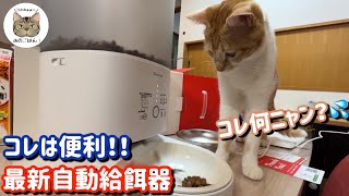 【隠し撮り】最新のペット自動給餌器を見た猫達の反応が意外過ぎました！Homerunpet Smart Pet Feeder