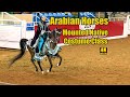 Arabian Horse Mounted Native Costume 18 Yrs. & Under at Scottsdale Arabian Horse Show