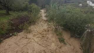 Fortes pluies en Kabylie, les vallées reprennent leur cours