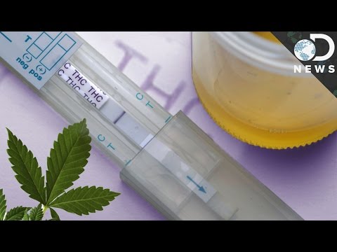 How Accurate Are Drug Tests? How Accurate Are Drug Tests?