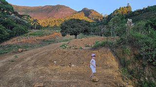 Cafezal em Pedra Menina - ES