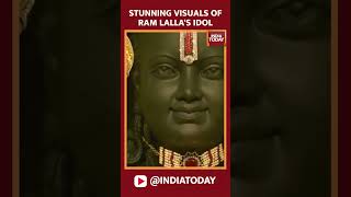 Visuals Of Ram Lalla's Idol At The Shri Ram Janmaboomi Temple In Ayodhya | #shorts