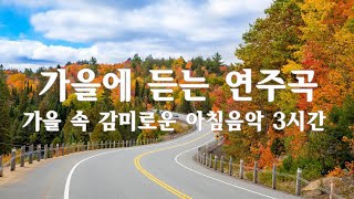 가을에 듣는 연주곡🌾가을 속 감미로운 아침음악 3시간 🎵 힐링음악, 요가음악, 명상음악, 스트레스해소음악 (Autumn piano)