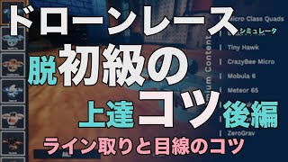 ドローンレース 脱初心者 ライン取り！目線！スムーズに飛ばすコツ紹介 ［Drone］後編