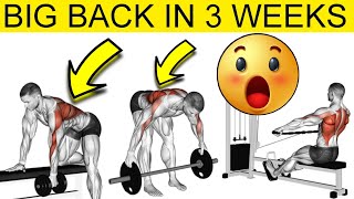 3 Exercises to Build A big back | Best Back Workout