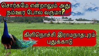 சொர்கமே என்றாலும் அது நம்ஊர போல வருமா? | கிளிநொச்சி |இராமநாதபுரம் |புதுக்காடு |AhAnA Vlog | Srilanka