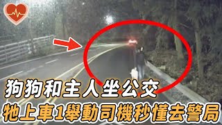 狗狗和主人坐公交，上車時狗狗突做1舉動，司機看到後立馬改道去警局...... |#動物 #狗狗 #震撼 #公交