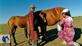 Tribus nómadas de Mongolia. Parte 1