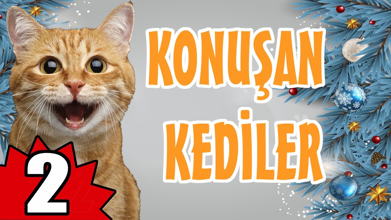 Konuşan Kediler 2 - En Komik Kedi Videoları - YouTube