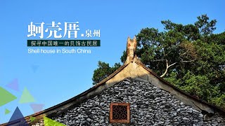 【芒果看天下】泉州有一座奇特的小渔村，竟用贝壳建造房屋，如片片鱼鳞超级美观