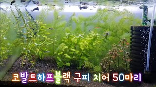 HAY패밀리와 함께하는 \