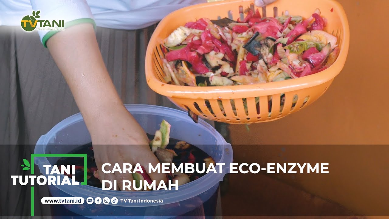 Cara Membuat Eco-Enzyme Di Rumah - YouTube