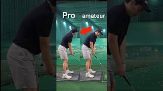 Small but significant differences (Pro vs Amateur)