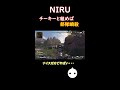 niru　チーキーと組めば部隊瞬殺 shorts