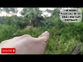 vlog 120 lopez quezon half hectare maysource of water and electricity maysignalphone cemented road