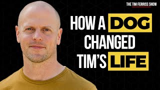 How Getting a Dog Changed Tim Ferriss's Life