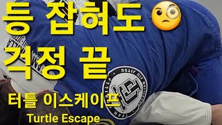 터틀 이스케이프 Turtle Escape (기술도움 : 이종진) #터틀이스케이프 #TurtleEscape