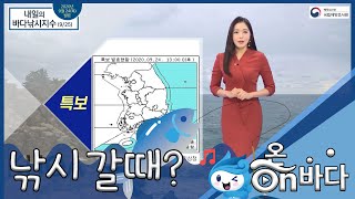 [바다낚시지수] 2020년 9월 25일 동해안 호우 예비특보, 풍랑주의보 발효/ 해양방송 On바다