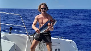 Transatlantique en catamaran: Cabo Verde à Miami