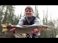 michigan winter trout fishing wild brown trout u0026 lake run brown trout