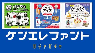 【ガチャガチャ】セイセイパンダ＆地元アイス第２弾＆かき氷第２弾