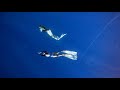 Freedive Sisters Bifins Line Diving | Mermaids in Indonesia