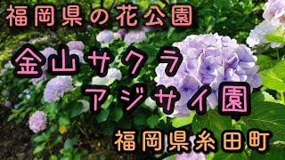 福岡県の花公園　糸田町　金山サクラアジサイ園