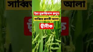 এই ছোট্ট দোয়াটি একবার পড়ুন মৃত্যু পর্যন্ত দিনের উপার অটল রাখবেন