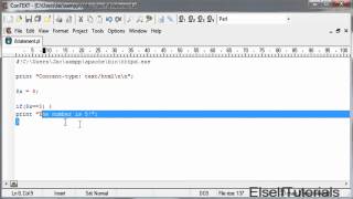 Perl Basics: If/If Else/ElsIf Statements