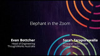 Elephant in the Zoom